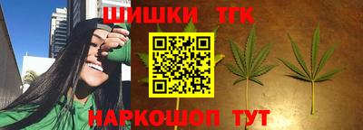 амф Можга