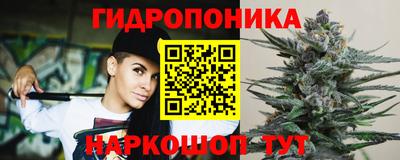амф Можга