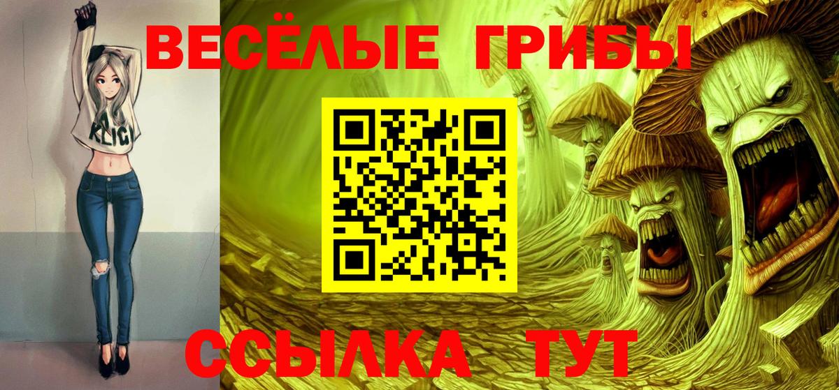 Химки  как найти закладки  Вход с VPN  Галлюциногенные грибы GOLDEN TEACHER 