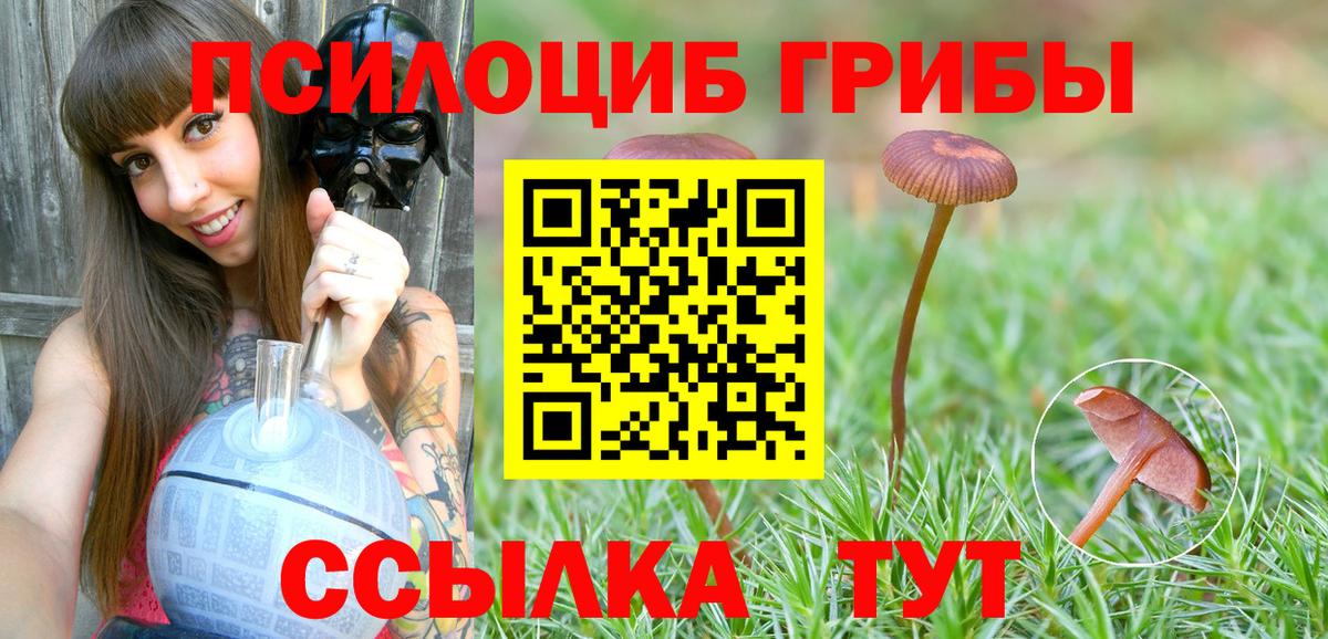 Галлюциногенные грибы ЛСД Химки